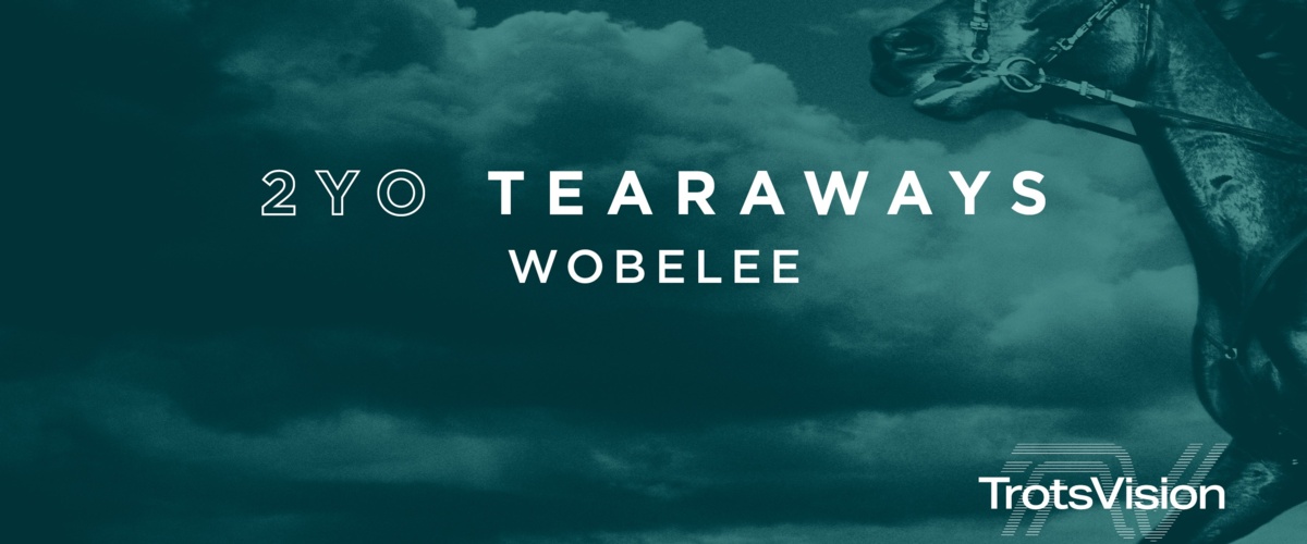 2YO Tearaways - Wobelee