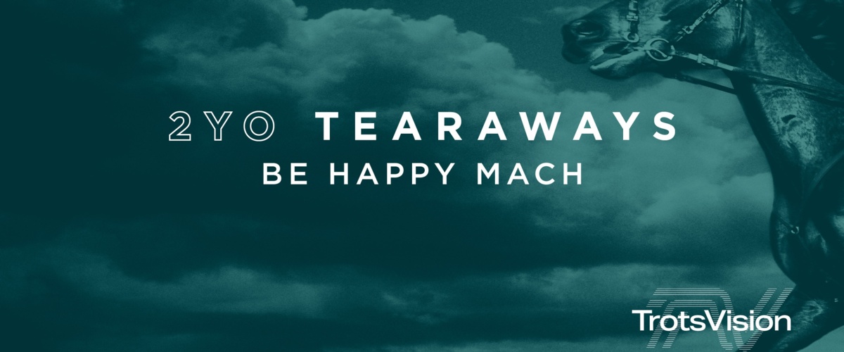 2YO Tearaways - Be Happy Mach
