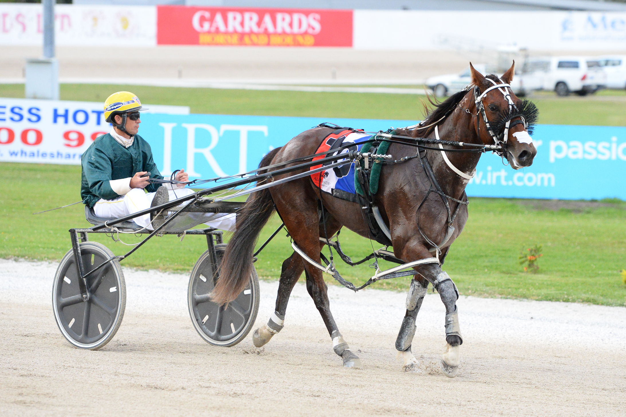 Kiwis ready to take charge in Queensland 1
