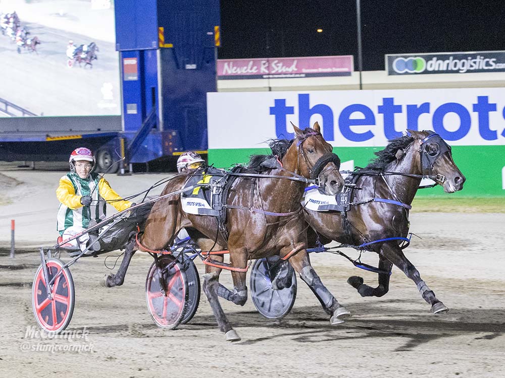 Dangerous gallops, but Abby and Catalpa come to the Rescue! - Harness Racing  Victoria