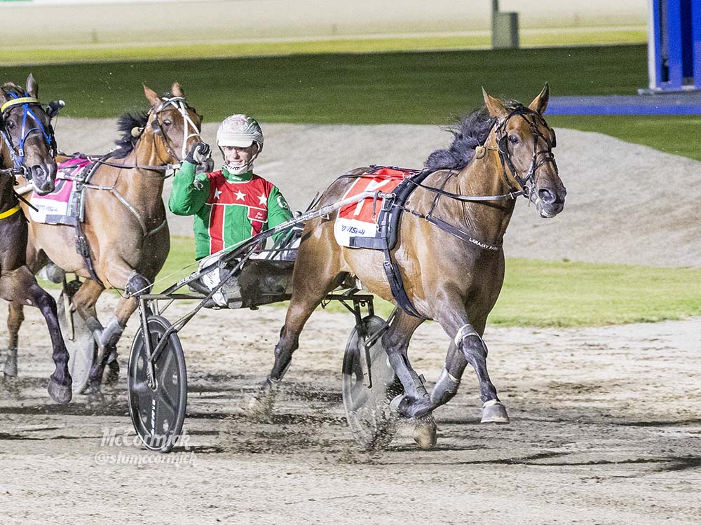 Fields for Victoria Cup, Bill Collins Trotters Sprint 2