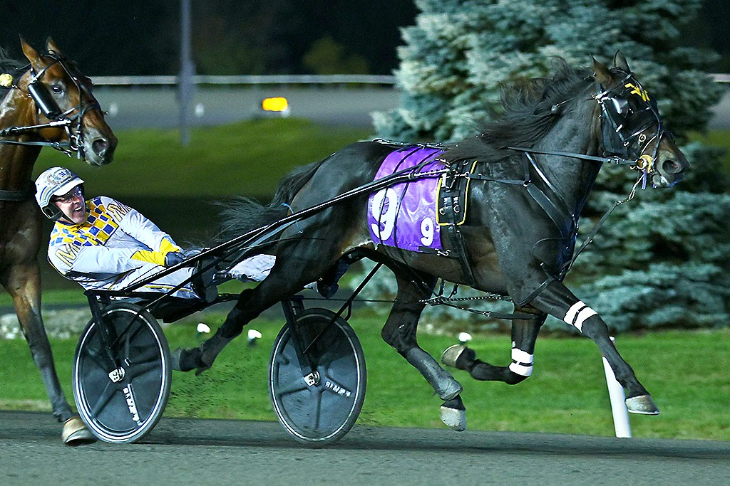 Racing Stallion.com Ontario Racing Stallion Spotlight: Souper Speedy - Ontario ...