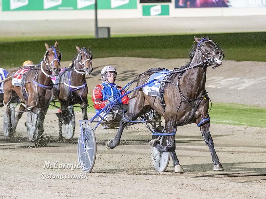 Stanley's jet ready to Rock N Roll after freshen-up - Harness Racing  Victoria