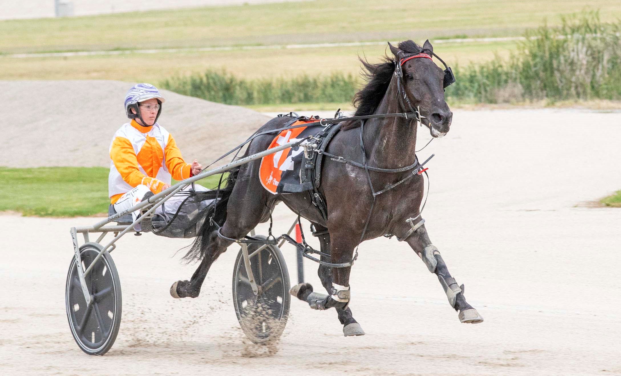 Sonador to turn around his fortunes 1