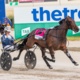 Graham: Plenty to unwrap as the trots ready for a big Easter