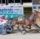 Graham: Strap in for a hell of a ride as the trots temp rises