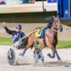 Graham: The nuts and bolts of NSW's Inter Dominion series