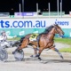 Dixon thrilled with SENTrack A G Hunter Cup draw