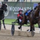 Bendigo Cup an 'ideal starting point' for Tact McLeod