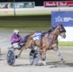 Wharton: American-bred mares delivering great results for Durham Park