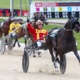 Hamilton: Zahara 'back to her old self' after Menangle defeat