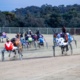 Bonnington: Lots to ponder as harness racing changes pace
