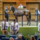 Wharton: Quality yearlings sell well at Nutrien Melbourne sale