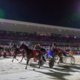 Bonnington: Buckle up for an Inter Dominion series of surprises
