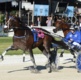 Hamilton: Purdon and Oscar chase history in Brisbane