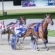 Davo's mare El Gelato continues to have the cream of the crop