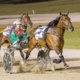 Hamilton: All important barrier draw to shape Inter Dominion final