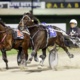 Guerin: Kiwis set to slot in a trot after The Race proves a hit
