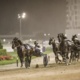 Guerin: Emotions run high as Merlin takes Harness Million