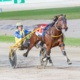 Bonnington: Helluva nice way to pay tribute to a trots great