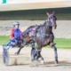 Graham: A super two-state Saturday night at the trots