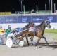 Wharton: Colonial stallion's influence on racing and breeding