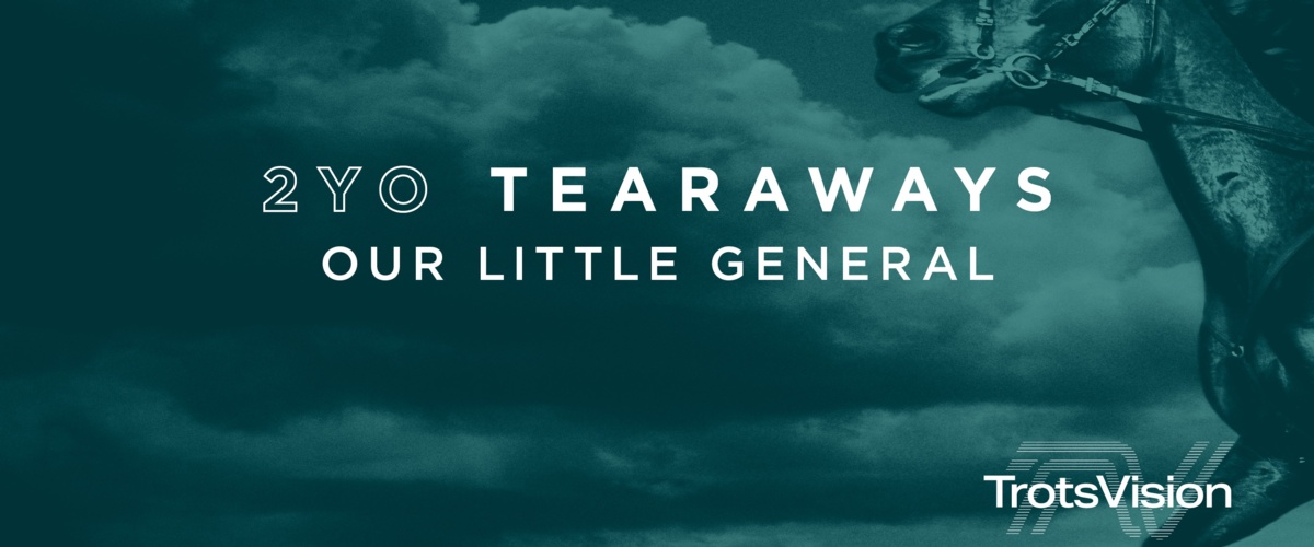 2YO Tearaways - Our Little General