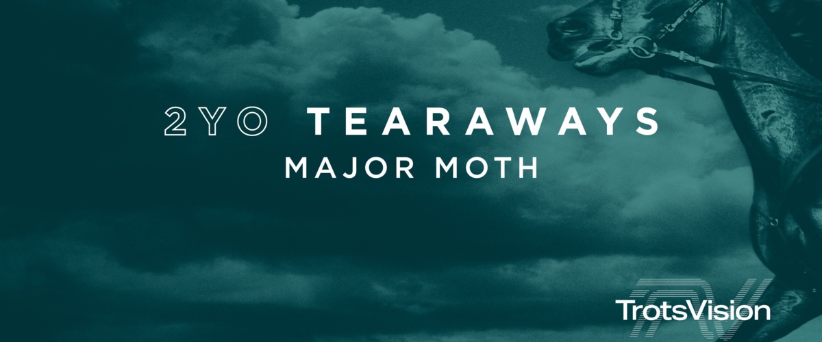 2YO Tearaways - Major Moth