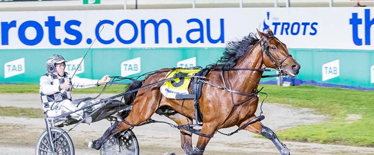 The biggest stars in harness racing set to shine at Melton