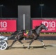 Hamilton: Could ID24 produce a Melbourne Cup-style fairy tale?