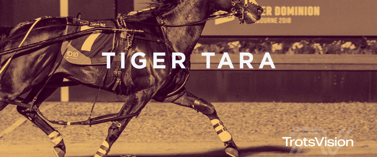 Tiger Tara
