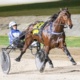 Wharton: Who will shine brightest among the first season two-year-old sires