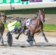 The Hot Seat: Two champions on Hunter Cup collision course