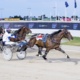 Wharton: Bargain buy Layden goes to the next level