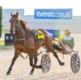Hamilton: A joy to watch our harness racing stars overseas