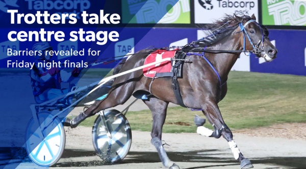 vss18-finals-trotters-in-the-spotlight
