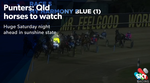qld-preview-horses-to-watch-at-albion-park