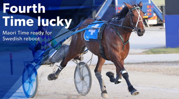 maori-time-hopes-sulky-changes-fortunes