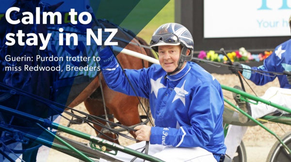 kiwi-out-enhance-your-calm-withdrawn
