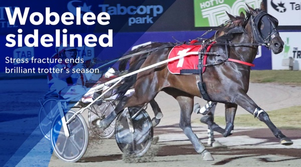 wobelee-out-stress-fracture-ends-season