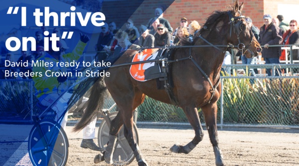 breeders-crown-miles-ready-to-get-to-work