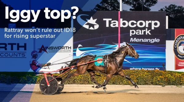 breeders-crown-iggy-top-id18-bound