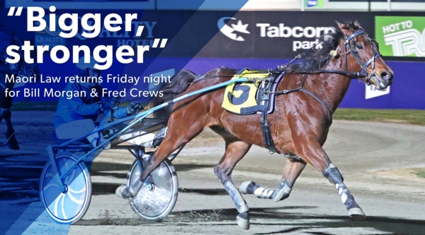 melton-preview-maori-law-bigger-stronger