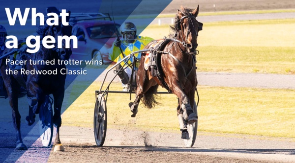 redwood-classic-miles-trotter-sets-the-pace