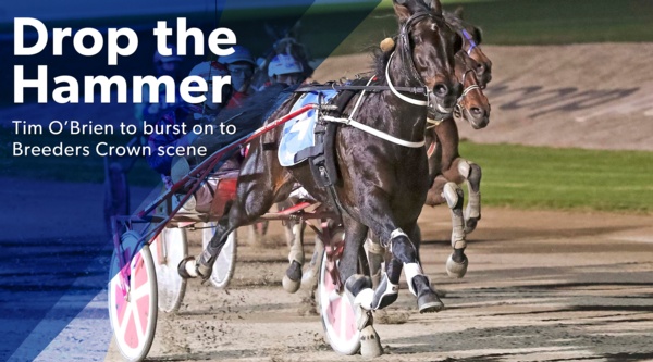 breeders-crown-tim-to-drop-the-hammer