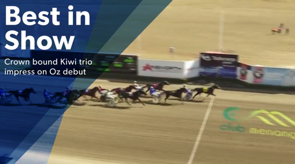 breeders-crown-kiwis-put-on-a-clinic