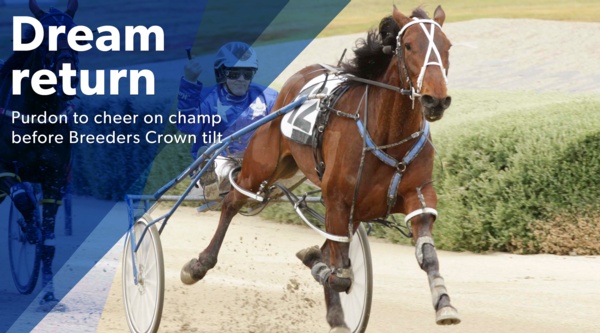 mark-purdon-dream-date-then-breeders-crown