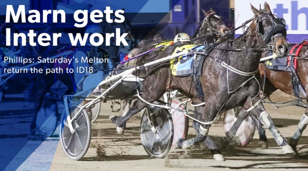 magical-marn-sit-sprinter-begins-dash-to-id18