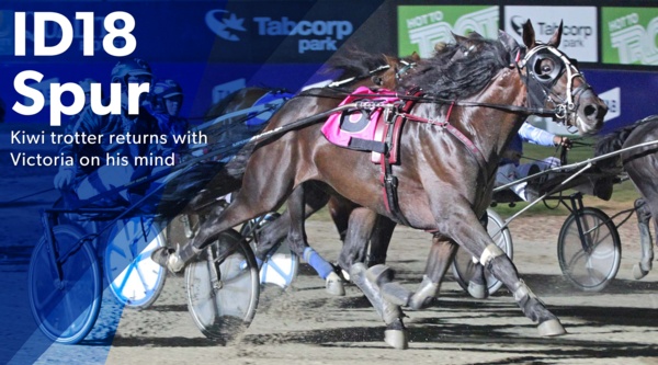 id18-bound-speeding-spur-to-stretch-out