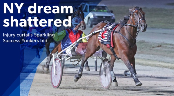 sparkling-success-injury-cruels-new-york-dream